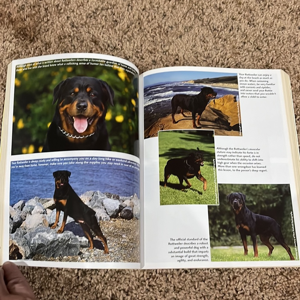 ✨ Host Pick✨ 2 Rottweiler books. - Picture 9 of 13